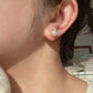 2 in 1, Cristal stud earrings