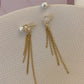 2 in 1, Tassel Earrings