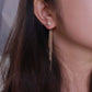 2 in 1, Tassel Earrings